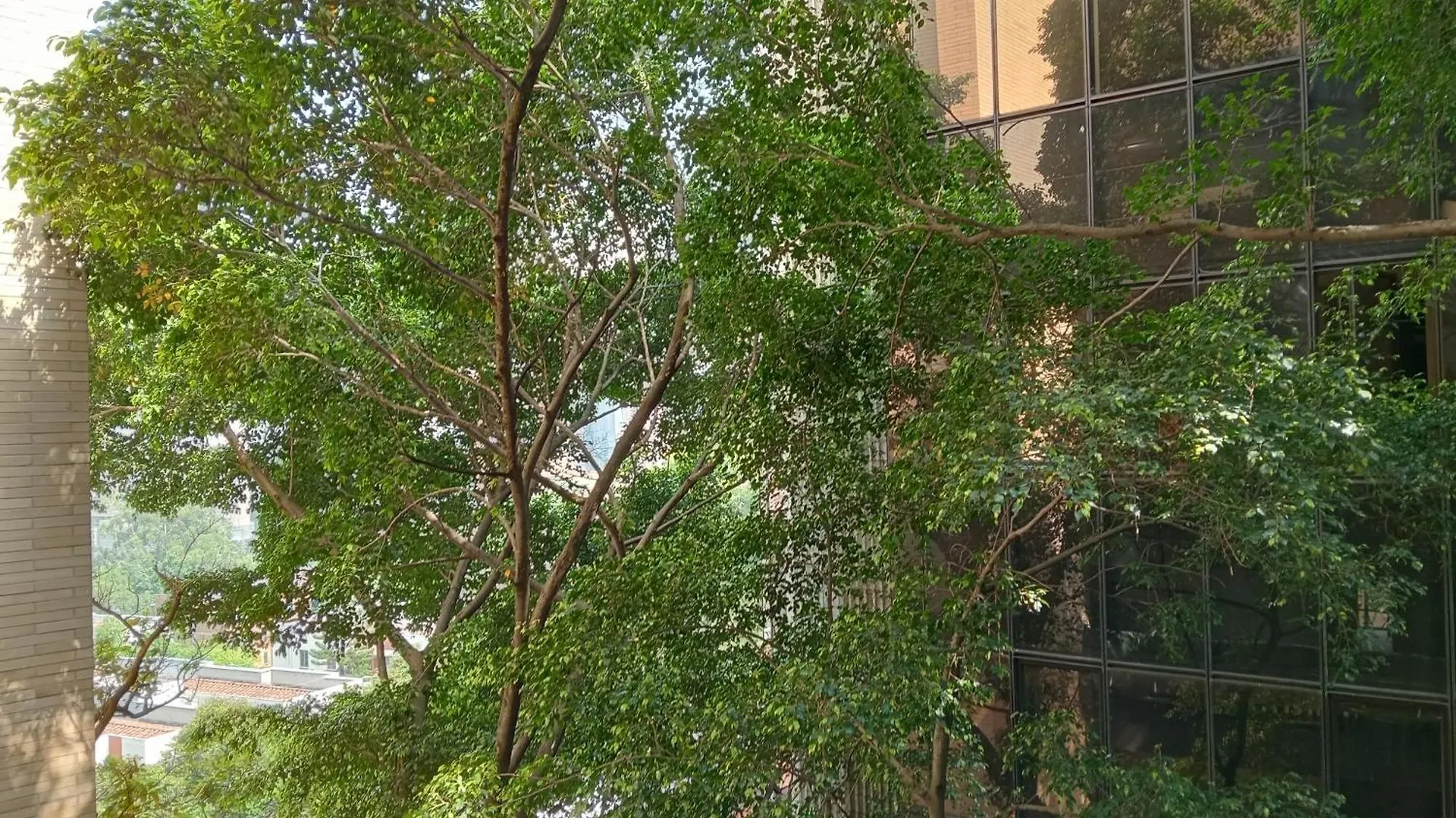 Hotel Rulay Medellín
