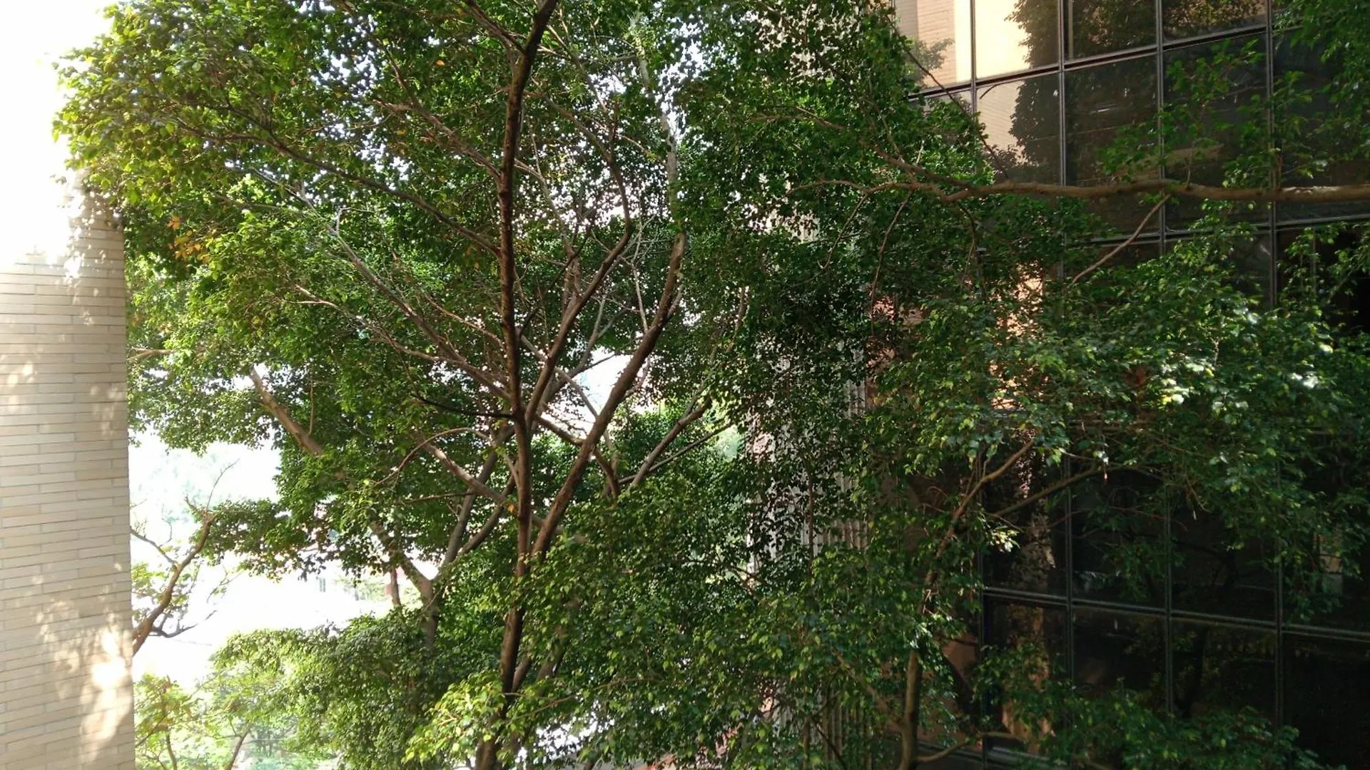 Hotel Rulay Medellín Kolombiya