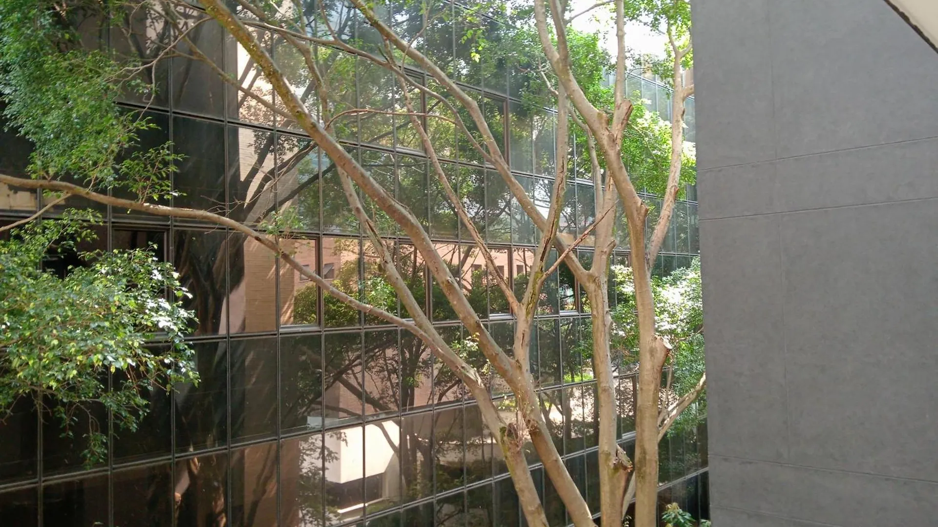 Hotel Rulay Medellín