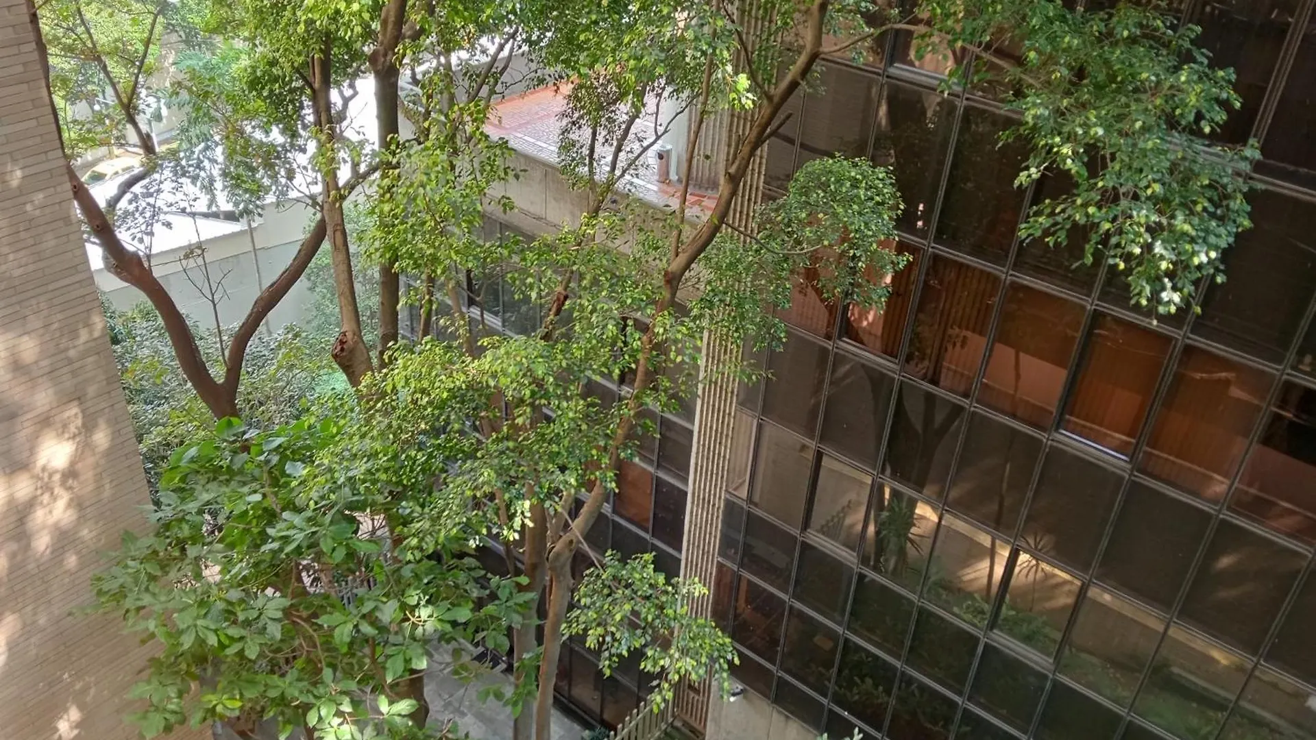 ****  Hotel Rulay 메딜린 콜롬비아